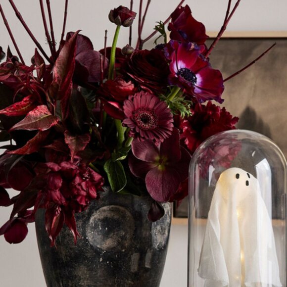 Lit Ghost Cloche Pottery Barn - Picture 3 of 5